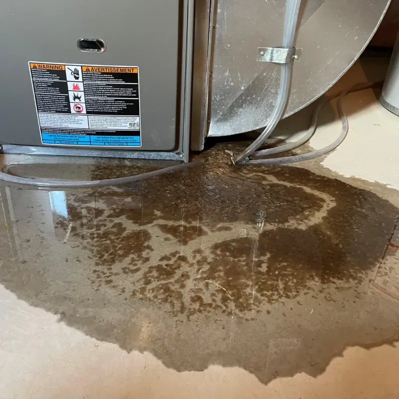 Appliance Leak Cleanup in Randolph County, GA