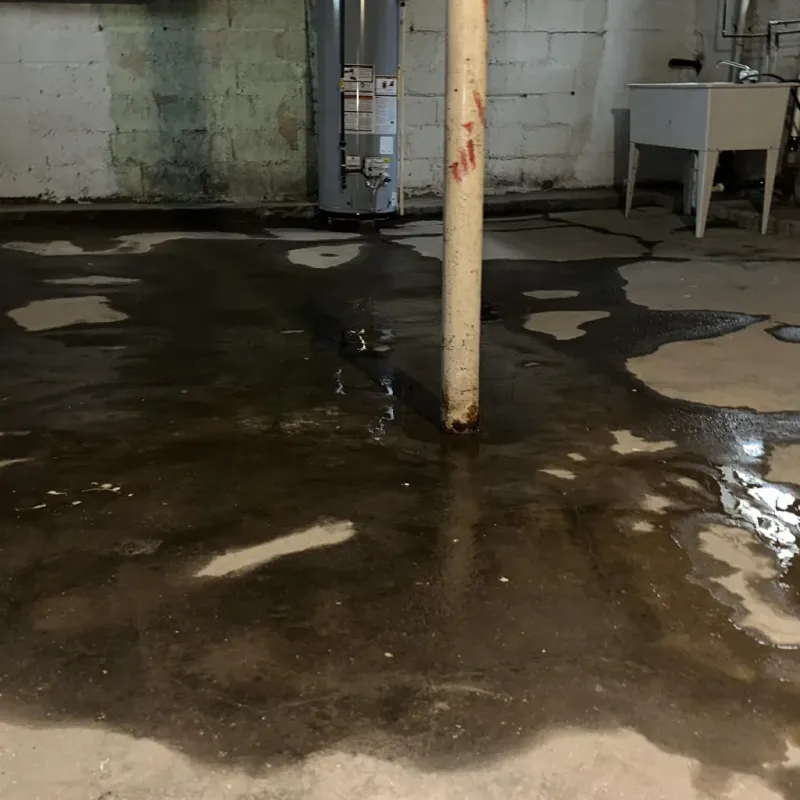 Emergency Water Extraction And Removal in Randolph County, GA